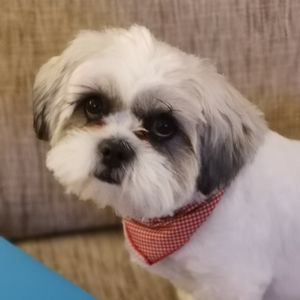 Meet your Posher, Sally